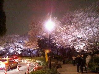 20130324.jpg